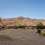 Aloha 라 올리바