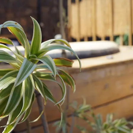 Διαμέρισμα Aloha *