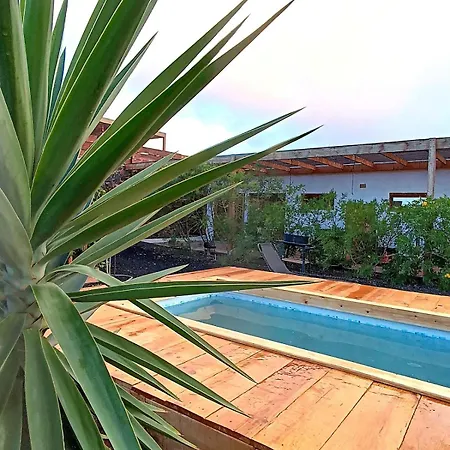 דירה Studio Aloha