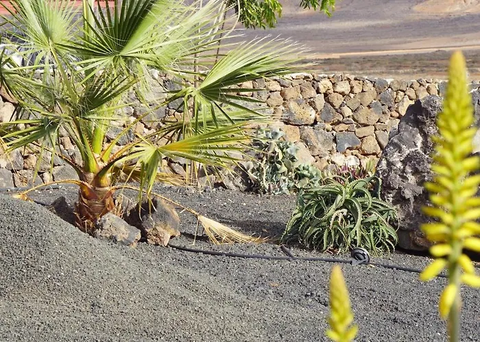 Aloha Appartement La Oliva