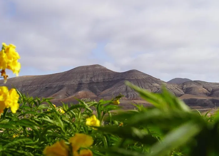 Aloha Appartement La Oliva