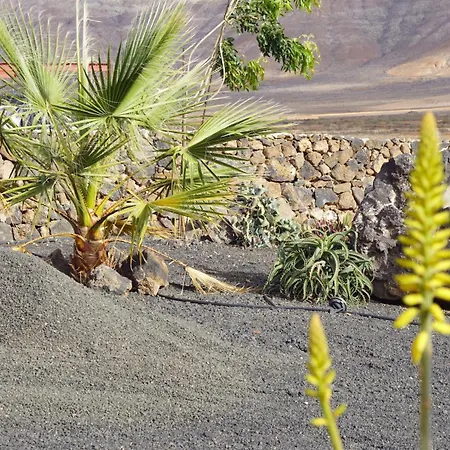 Aloha Apartament La Oliva