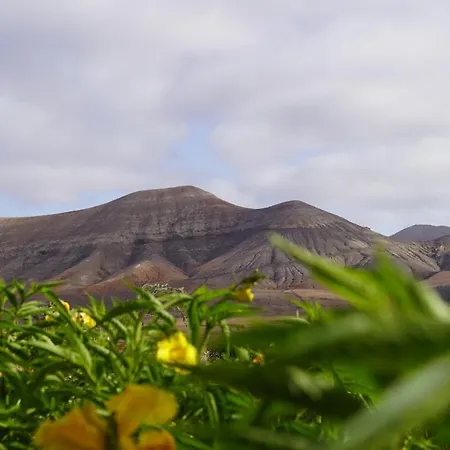 Aloha Apartament La Oliva